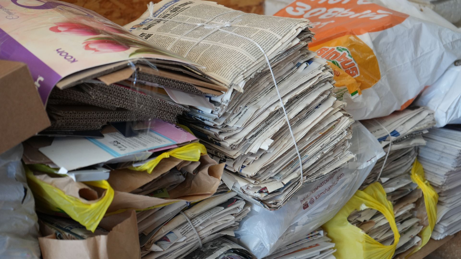 макулатура, сво,экологическая акция,