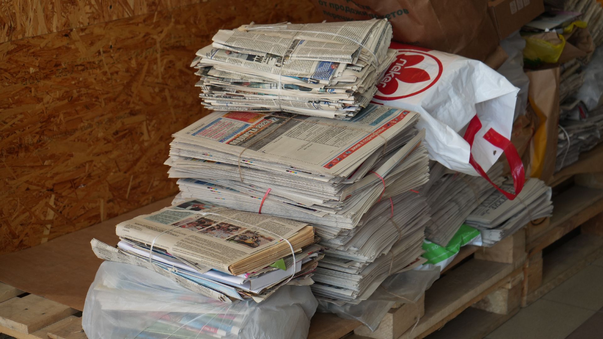 макулатура, сво,экологическая акция,