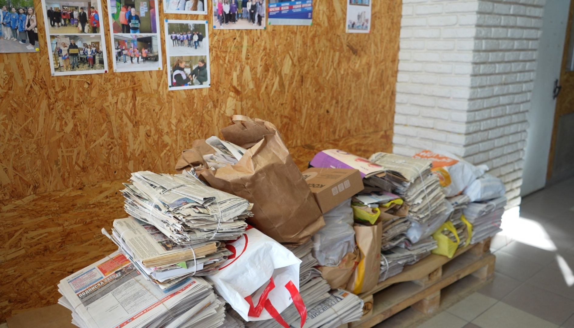 макулатура, сво,экологическая акция,