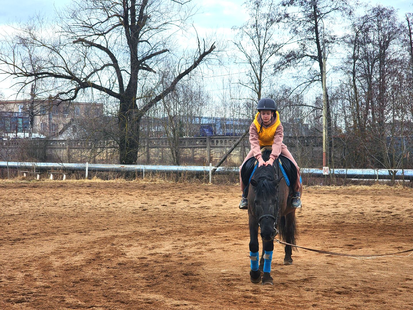 дубна, верховая езда, лошади, конный клуб, конно-спортивный клуб,