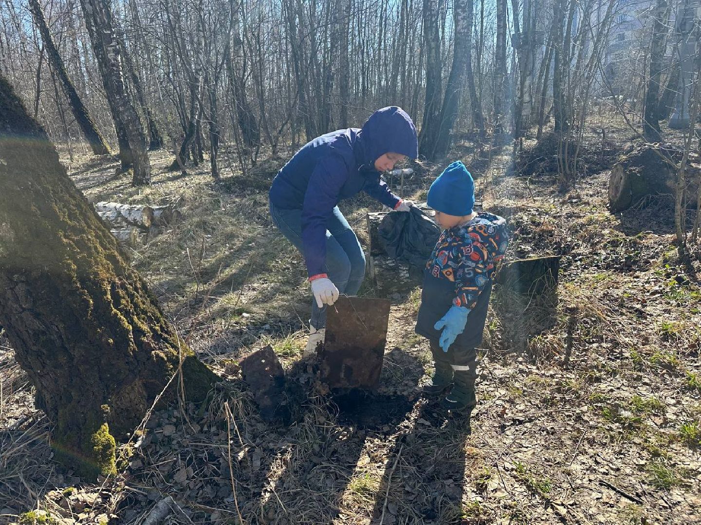 уборка леса, домодедово,