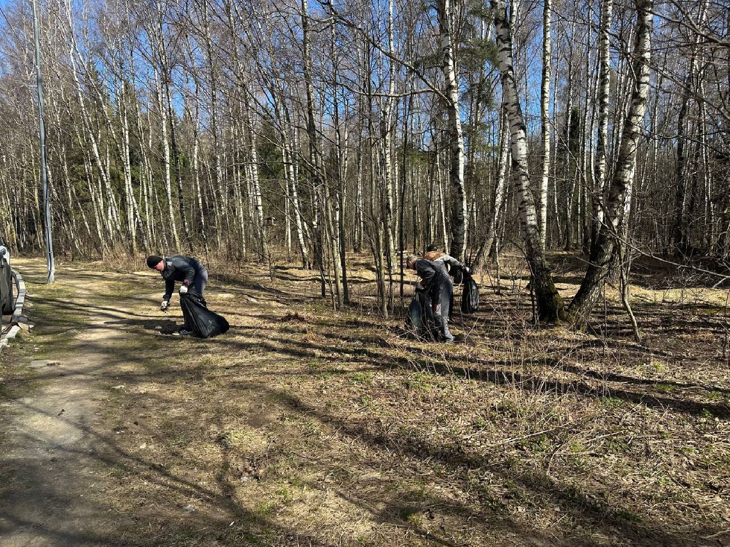 уборка леса, домодедово,