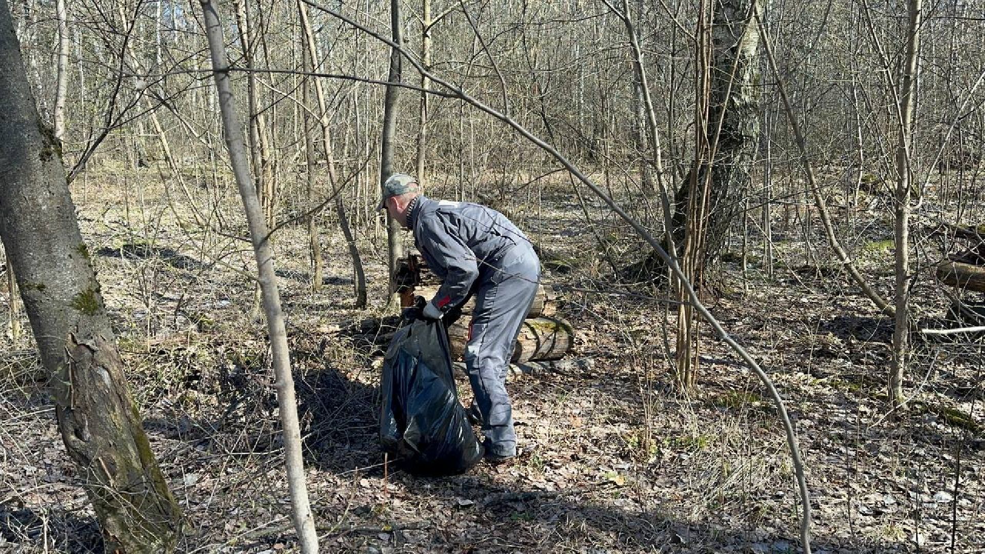 уборка леса, домодедово,