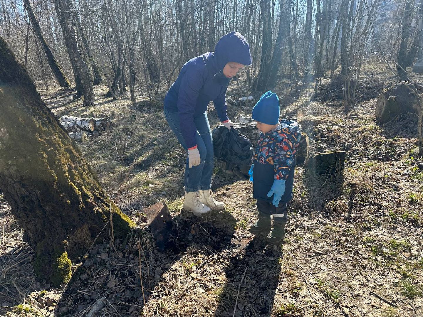 уборка леса, домодедово,
