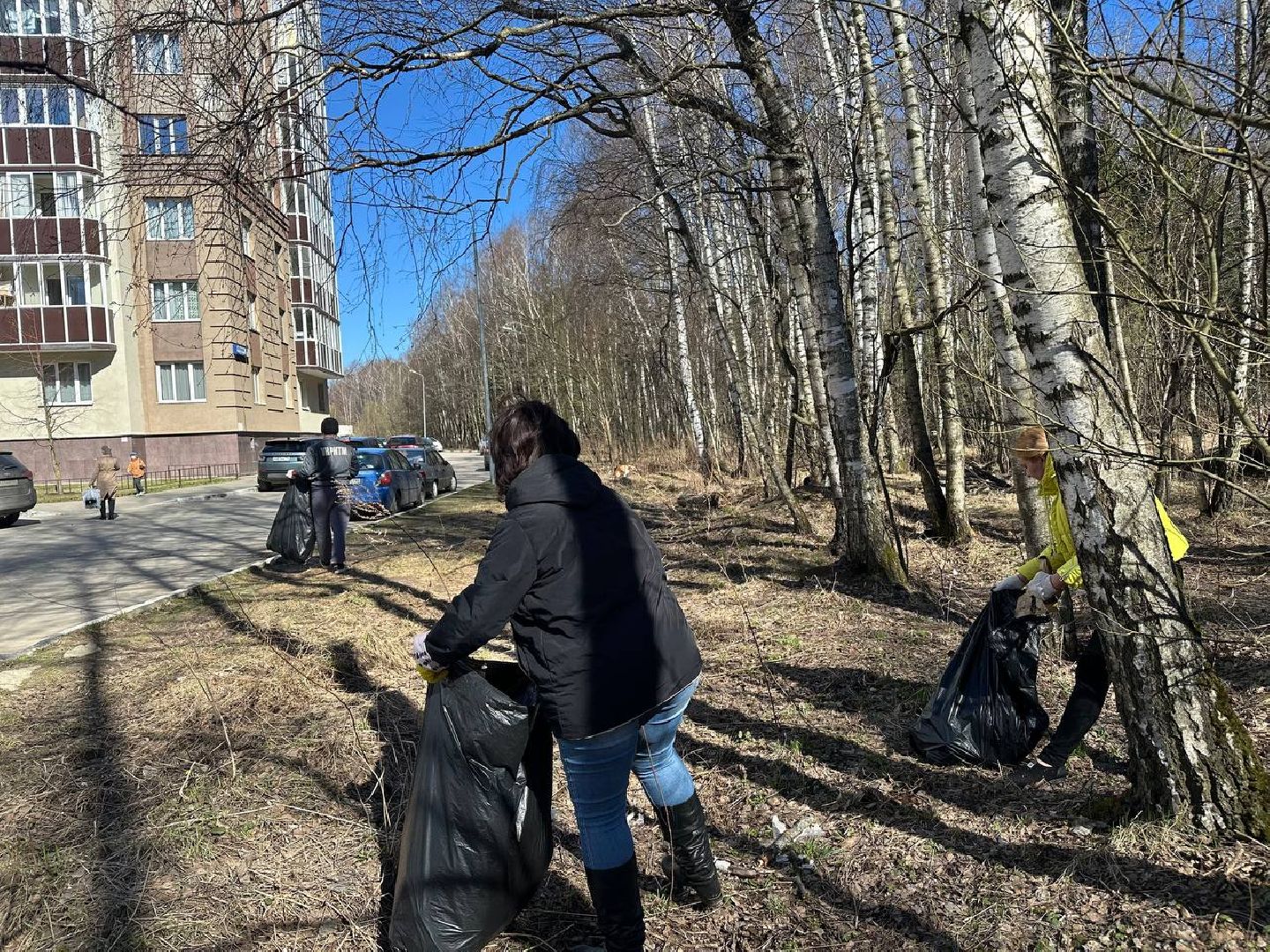 уборка леса, домодедово,
