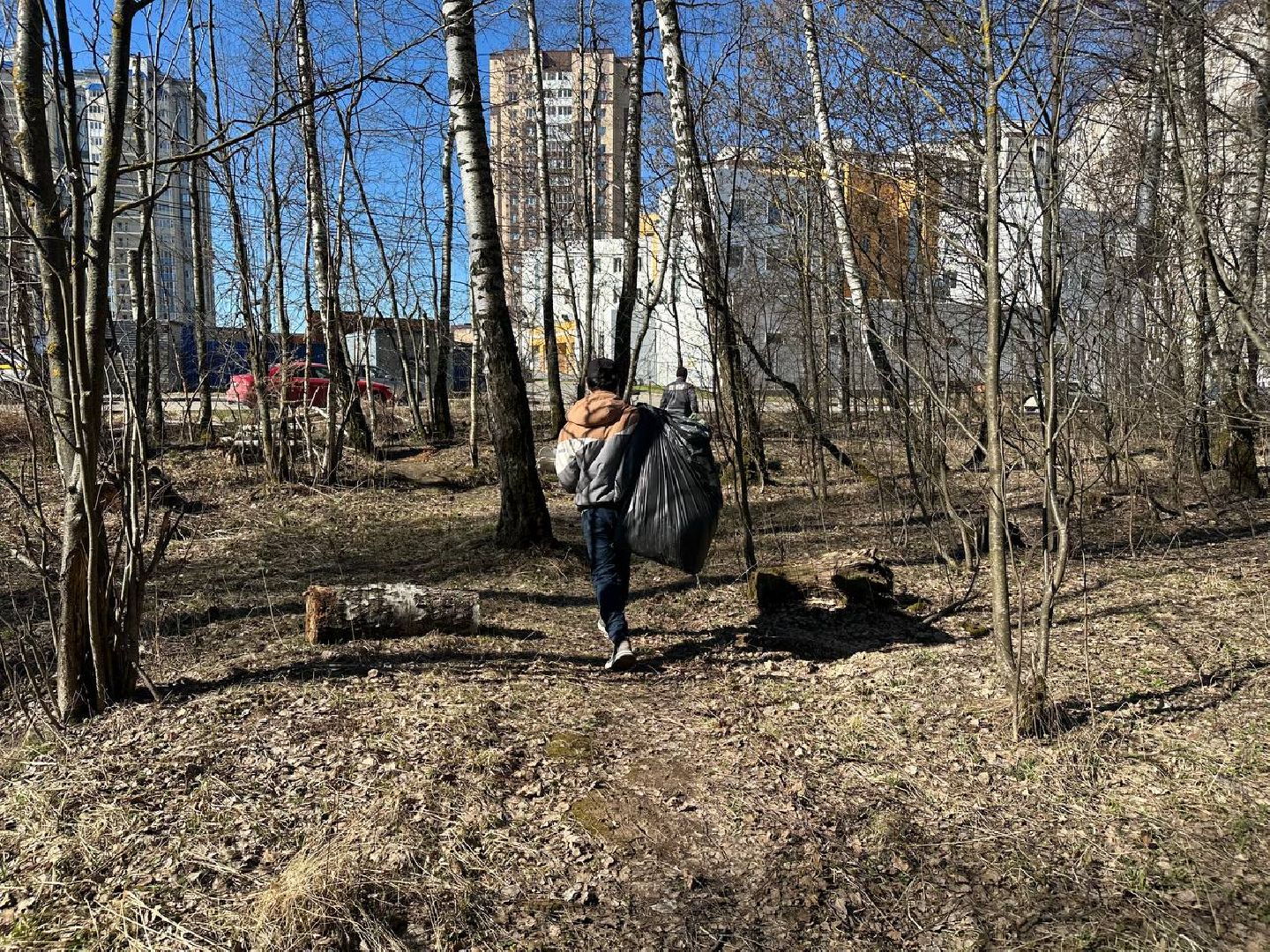 уборка леса, домодедово,