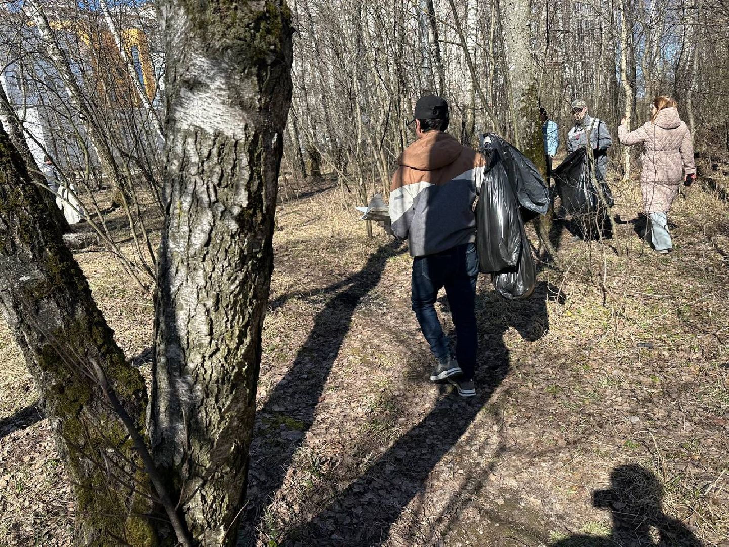 уборка леса, домодедово,