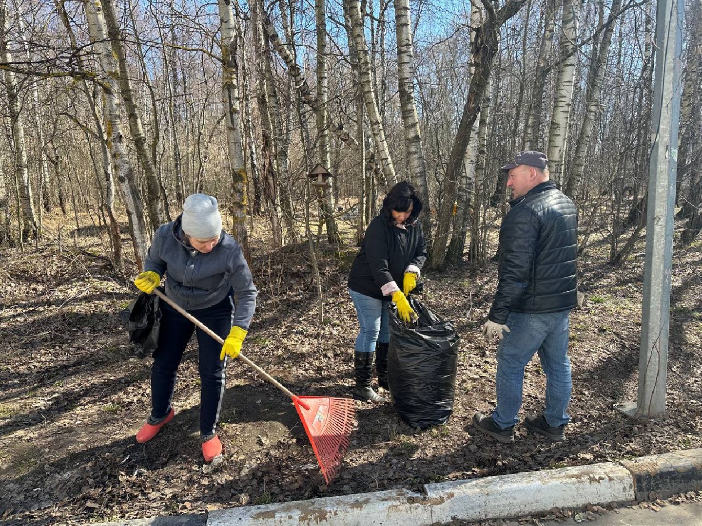 уборка леса, домодедово,