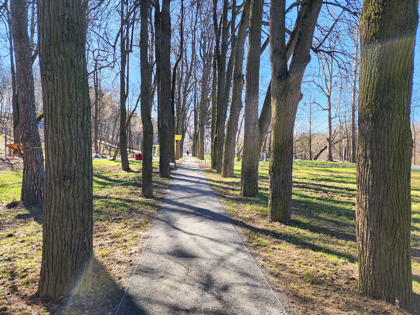 Подольск, парк талалихина, благоустройство парка, тюбинг,