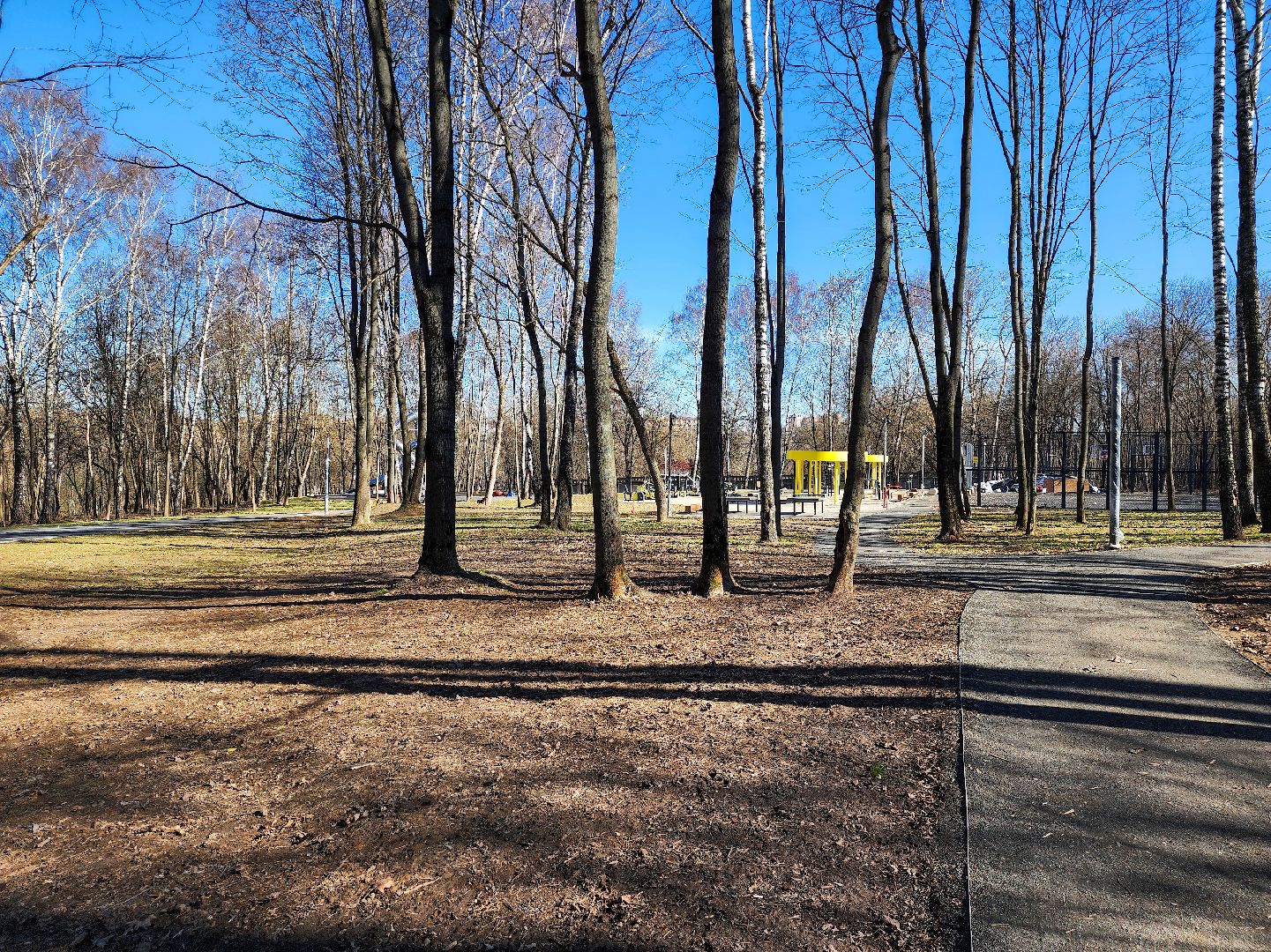 Подольск, парк талалихина, благоустройство парка, тюбинг,