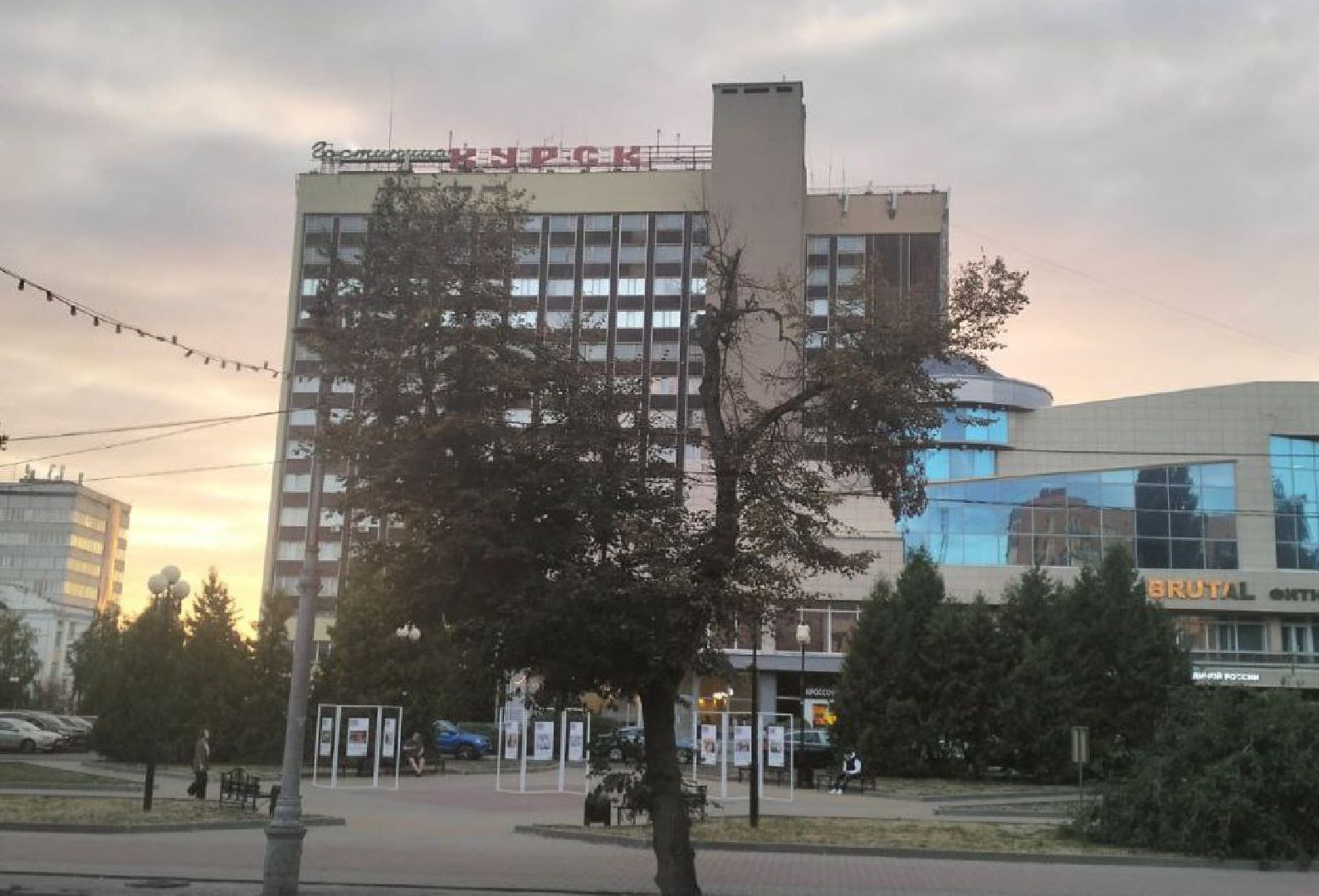 ногинск, общество, медицина, герой, курск, фельдшер, скорая помощь,