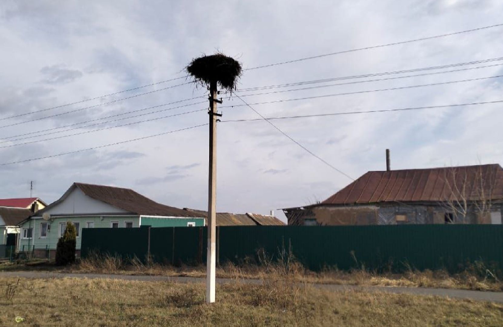 ногинск, общество, медицина, герой, курск, фельдшер, скорая помощь,