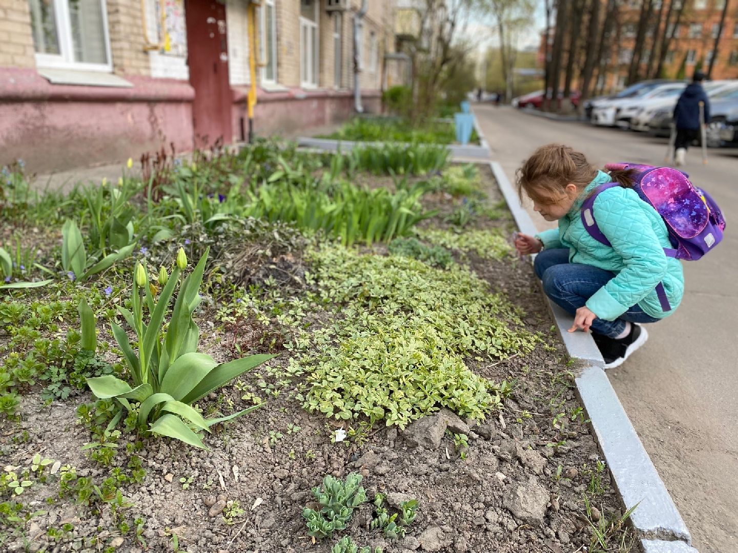 Домодедово, клумба, благоустройство, цветы, конкурс