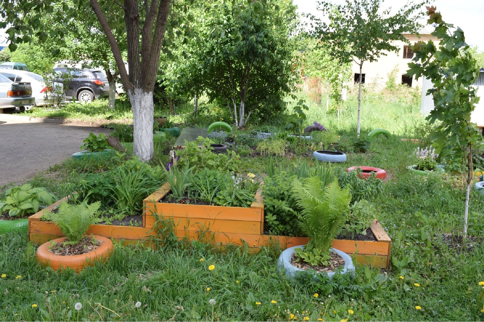 Домодедово, клумба, благоустройство, цветы, конкурс