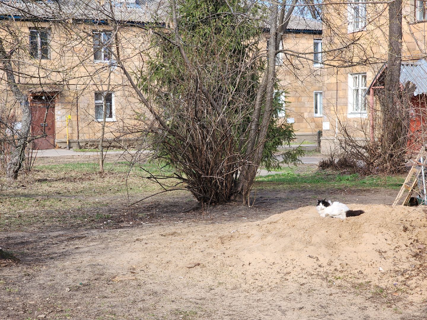 благоустройство дворов, орехово зуево,