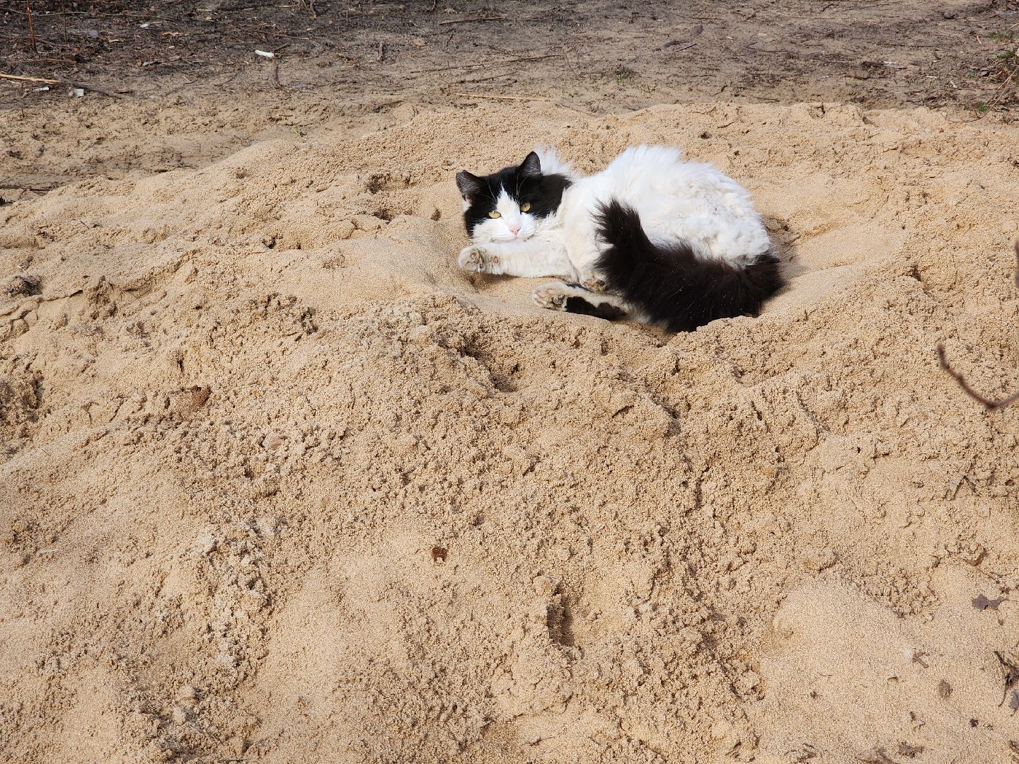 благоустройство дворов, орехово зуево,