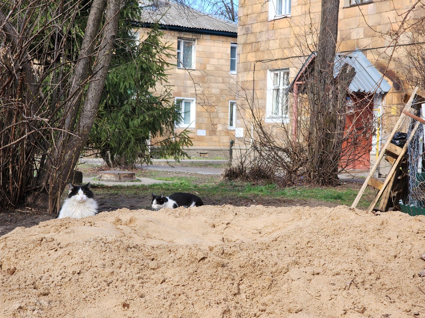 благоустройство дворов, орехово зуево,