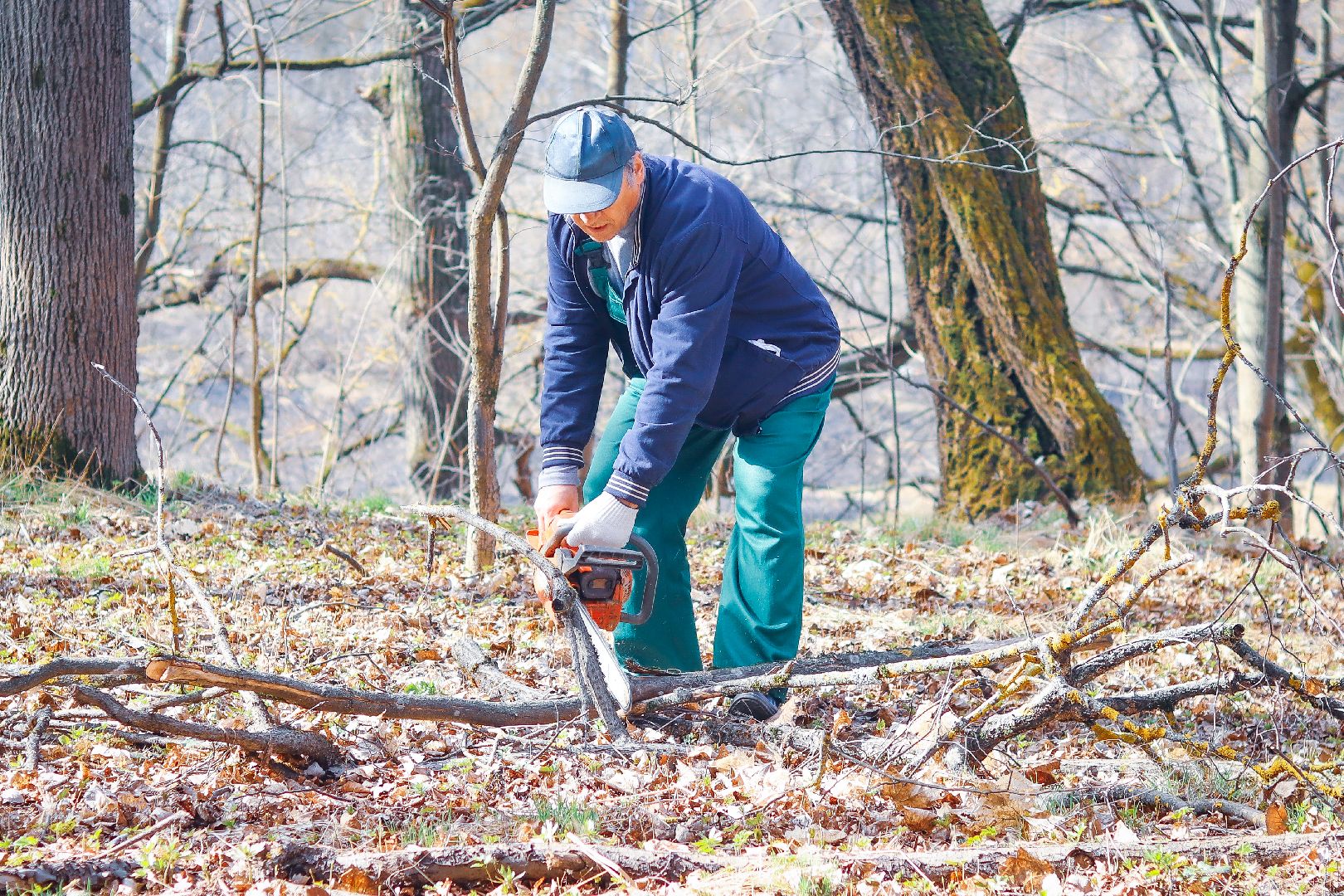 Клин, общество, благоустройство, субботники, весна,