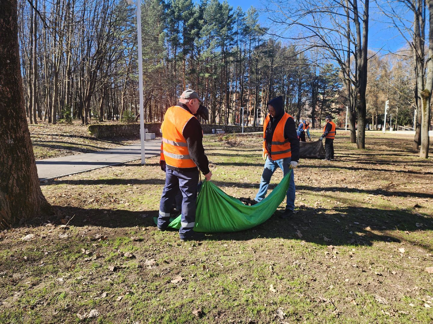 пущино, серпухов, уборка, благоустройсво,