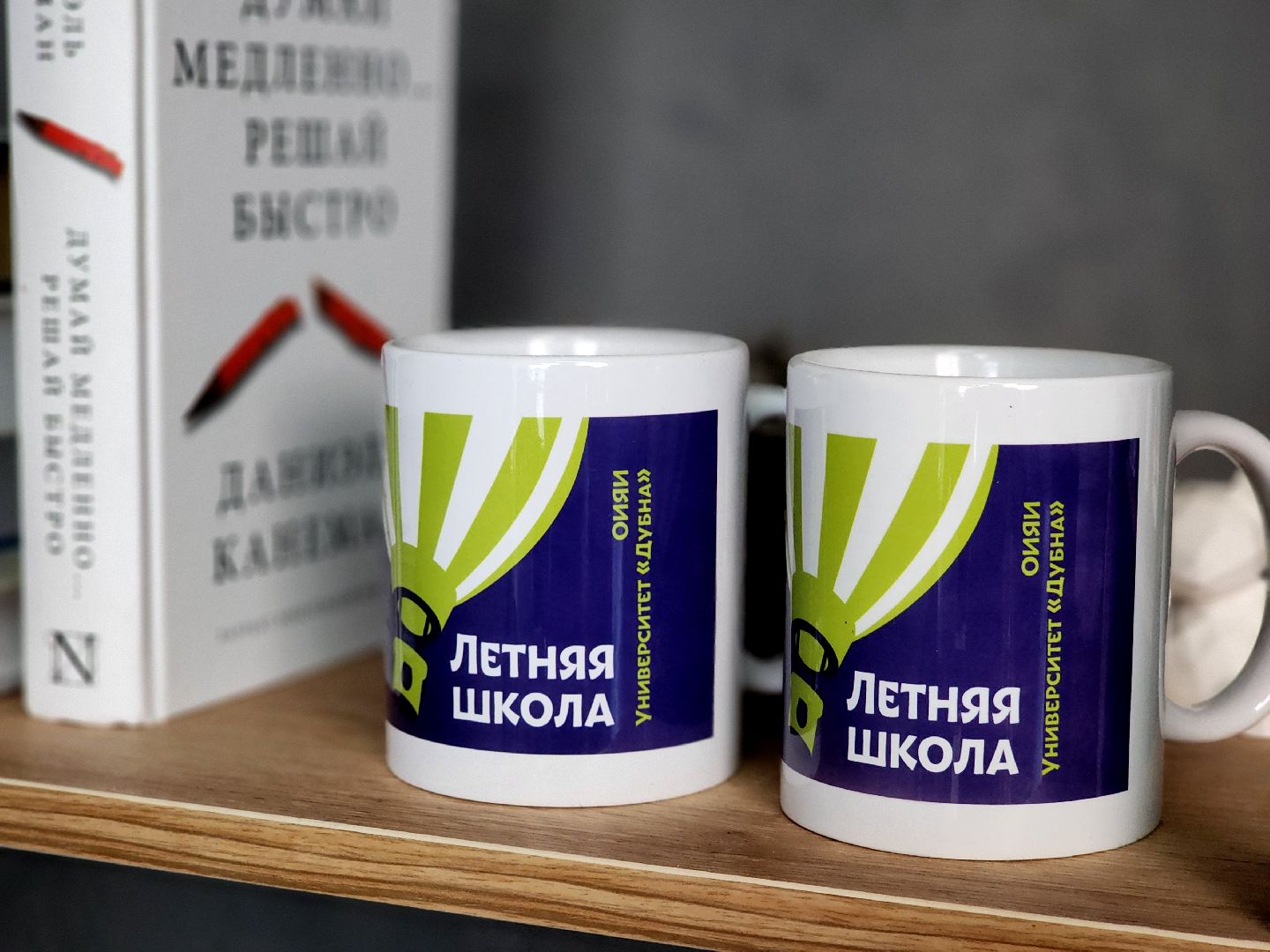 дубна, университет дубна, летняя школа, образование,