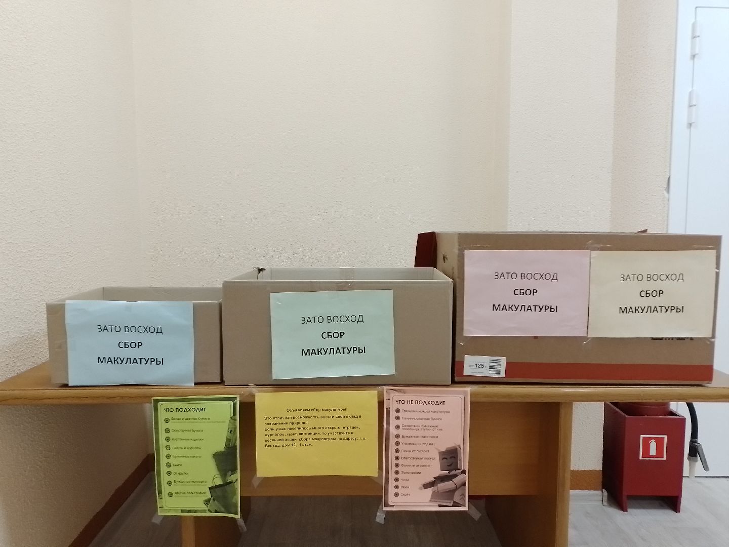 городской округ восход, макулатура, благотворительная акция, v единстве za победу,