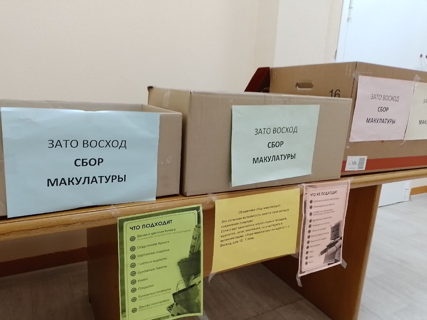 городской округ восход, макулатура, благотворительная акция, v единстве za победу,