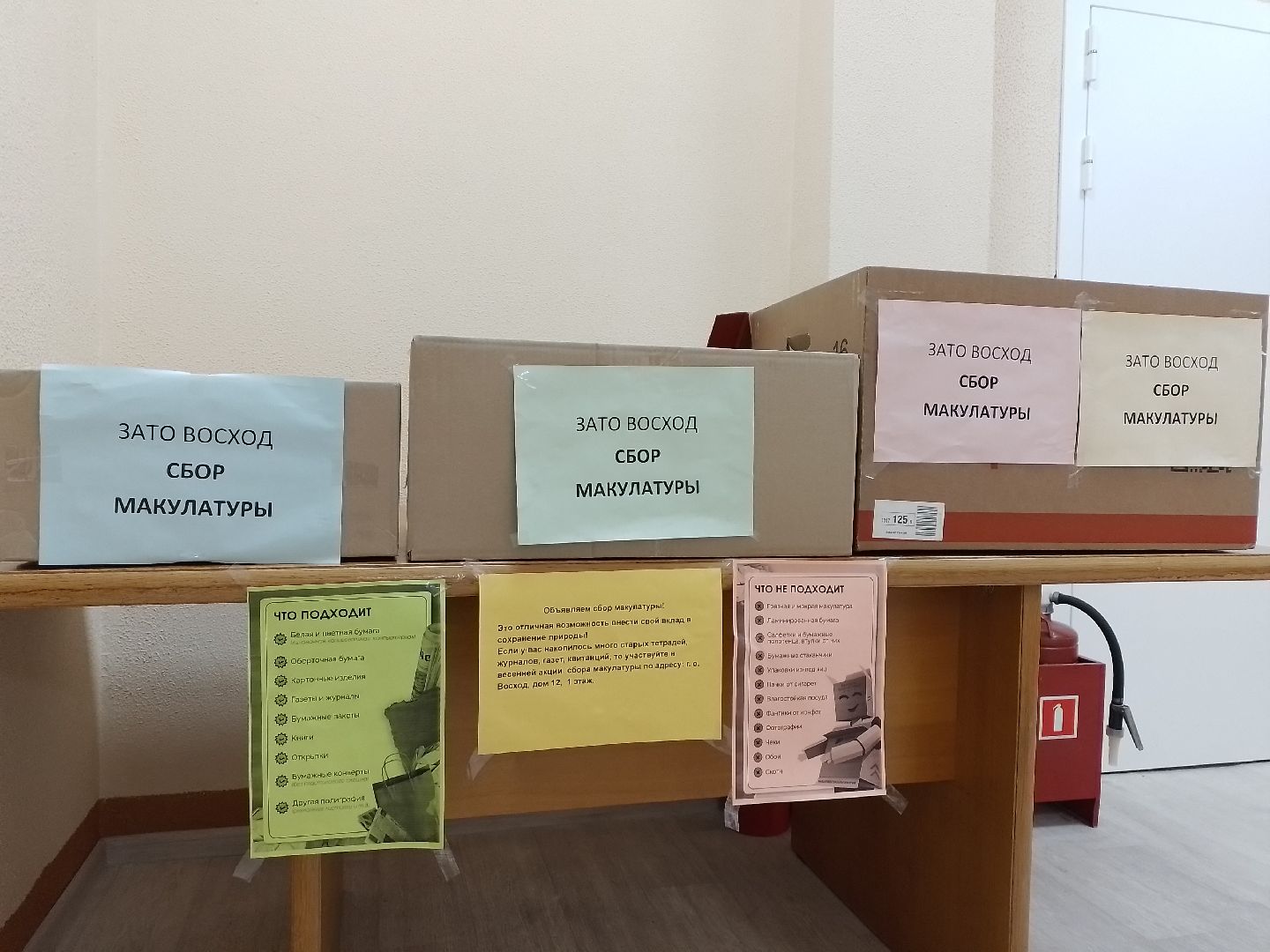 городской округ восход, макулатура, благотворительная акция, v единстве za победу,