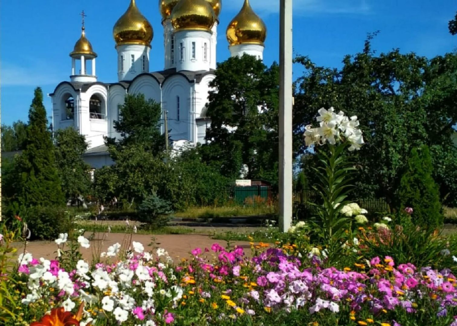 Город-Сад, конкурс, фото, видео, ВООПИК