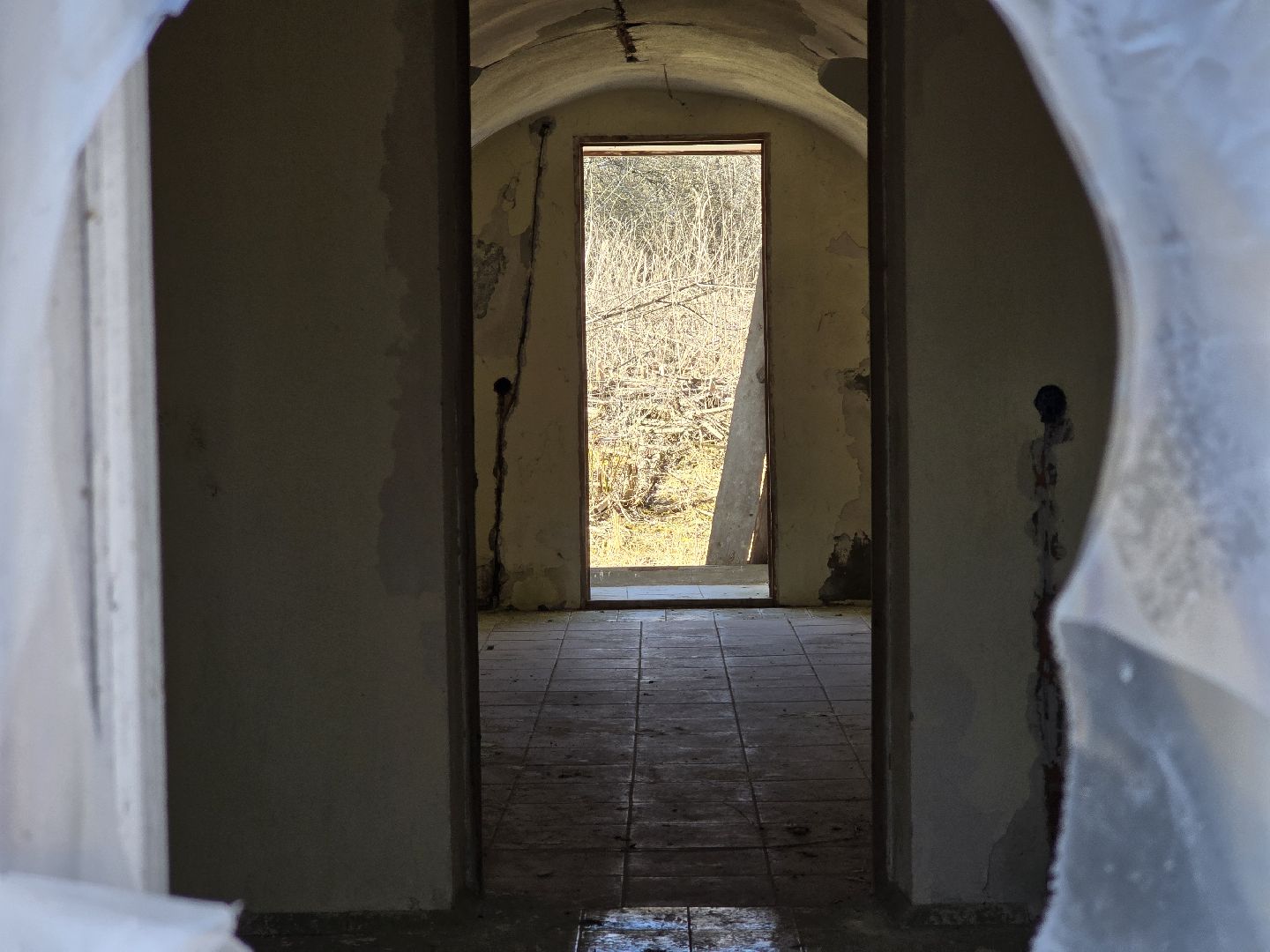 Коломна, усадьба сенницы,