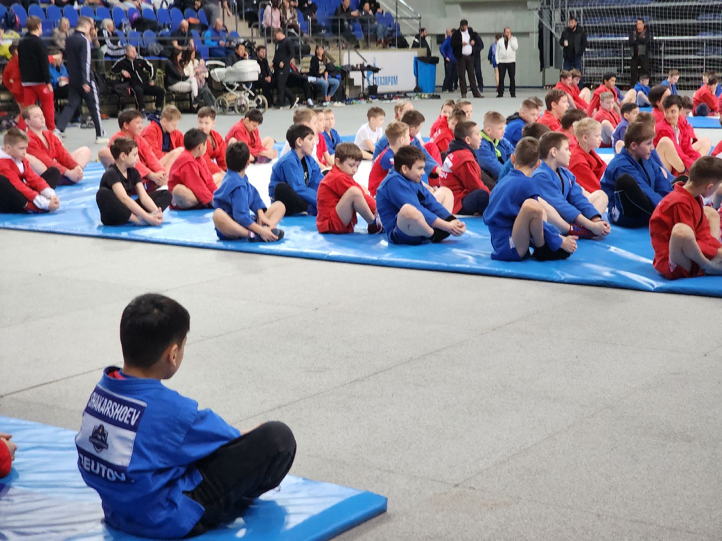 Спорт, Самбо, Чемпион, Зарядка,