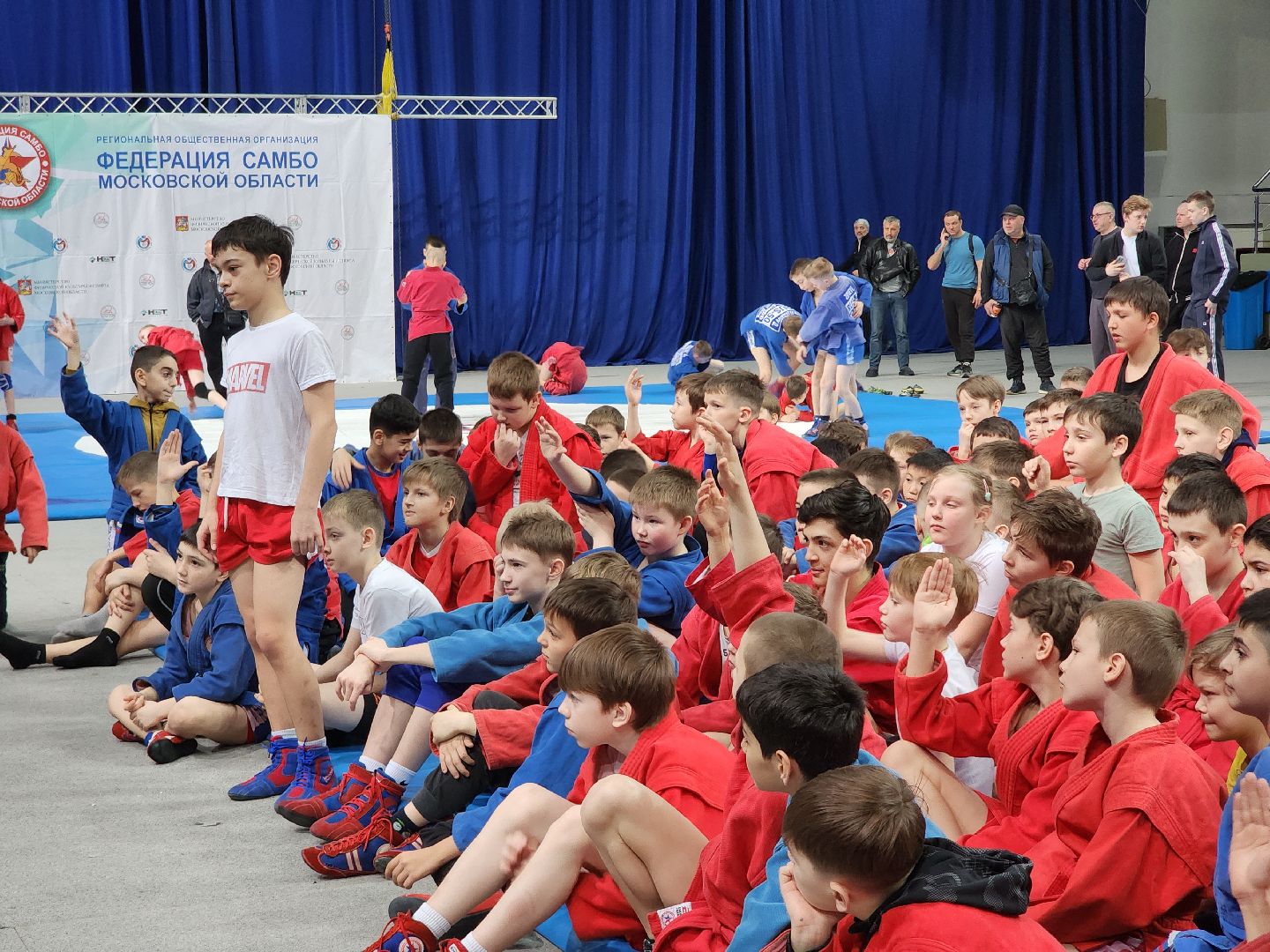 Спорт, Самбо, Чемпион, Зарядка,