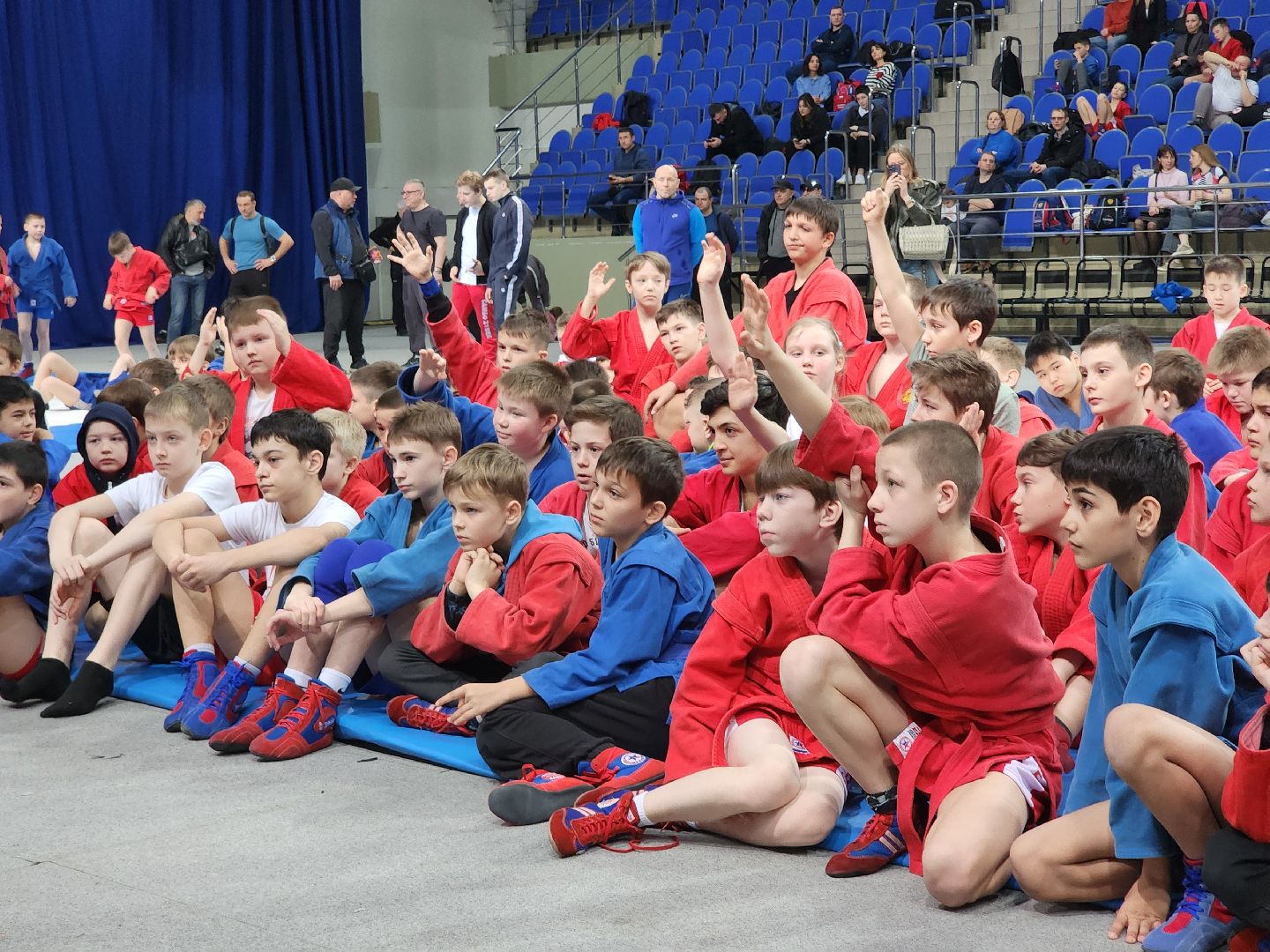 Спорт, Самбо, Чемпион, Зарядка,