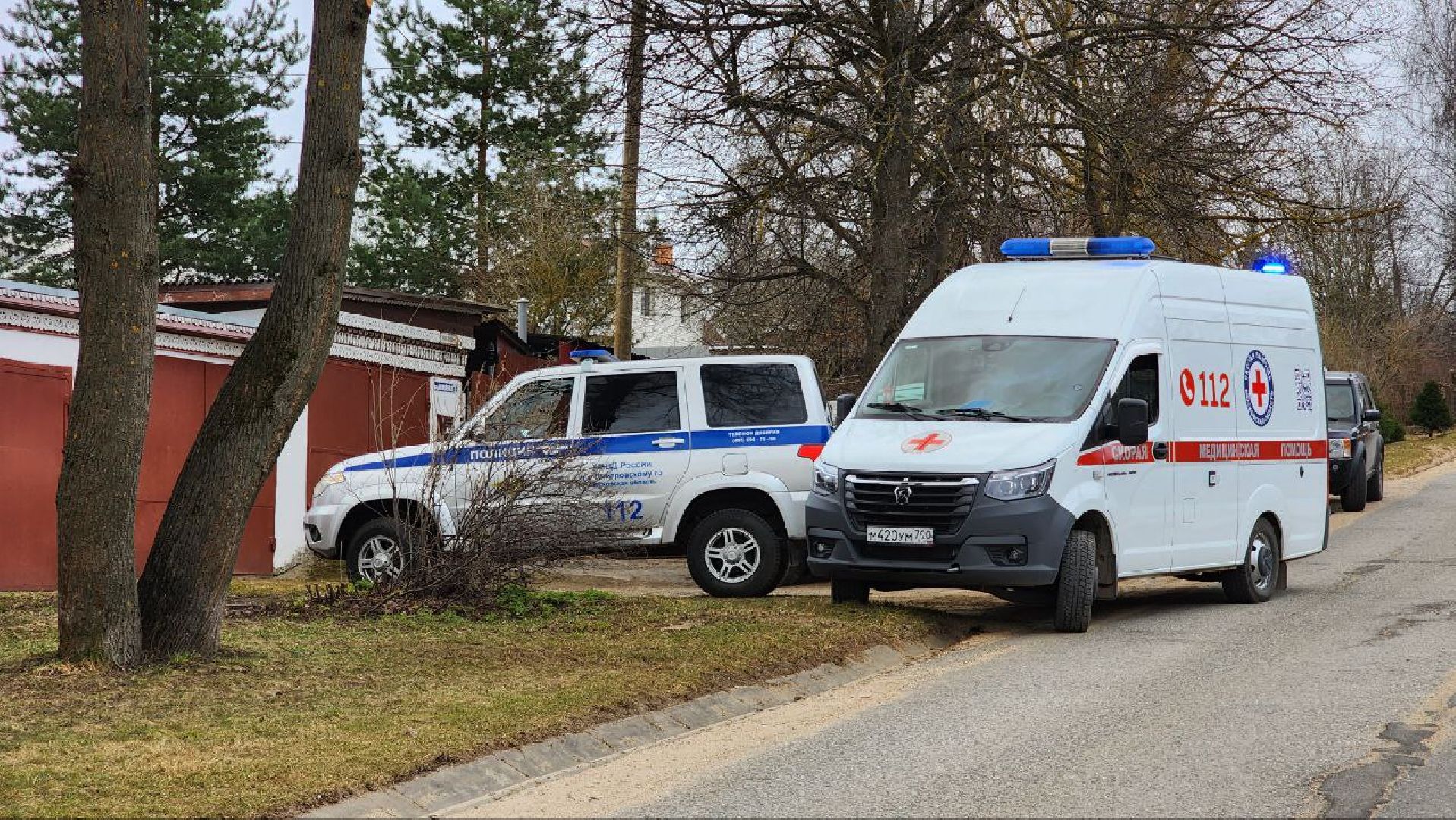 дмитров, пожар, чп на улице аллейная,