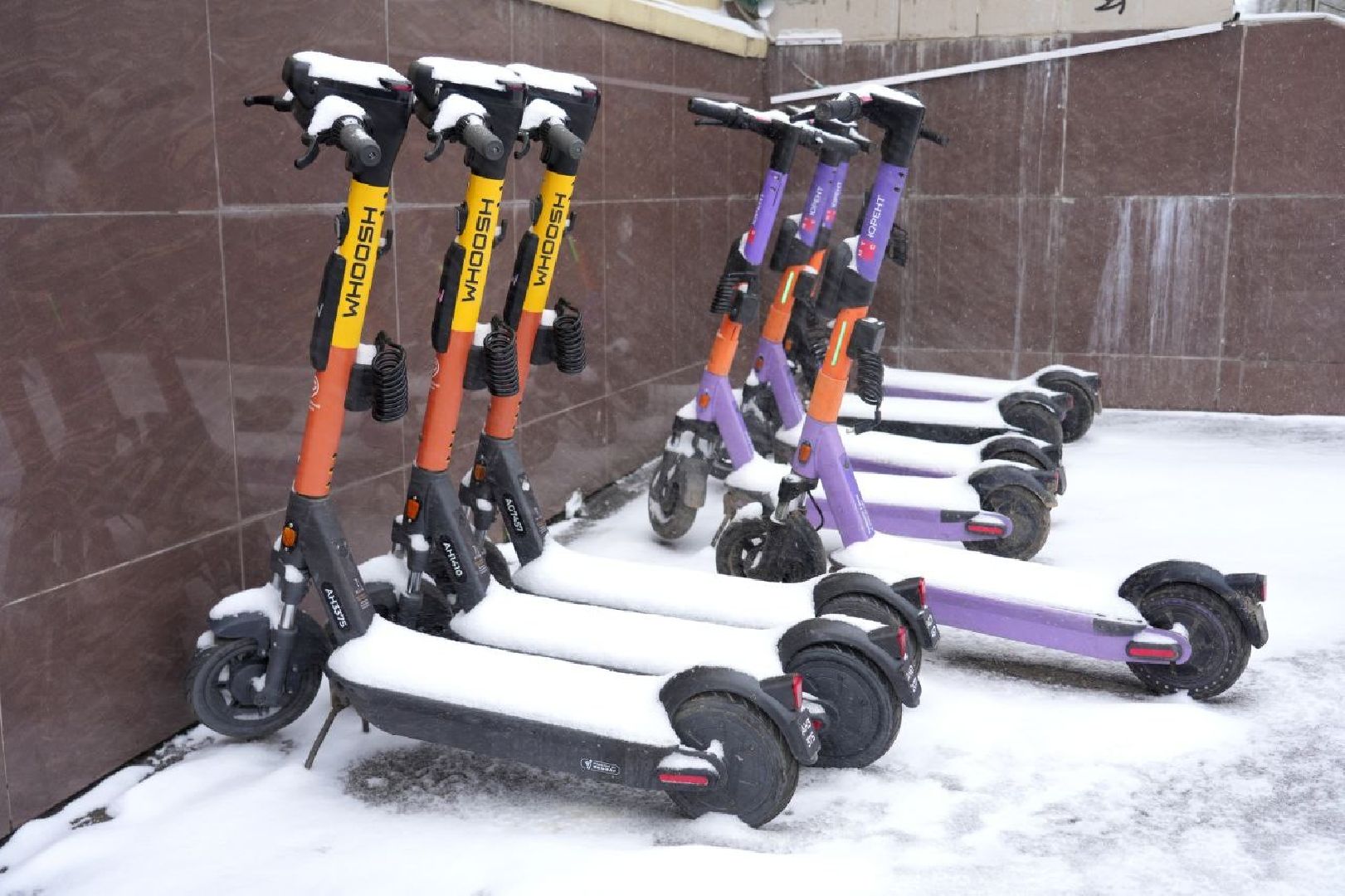 снег, коммунальные службы, сергиев посад, сергиево-посадский городской округ, снег весной,