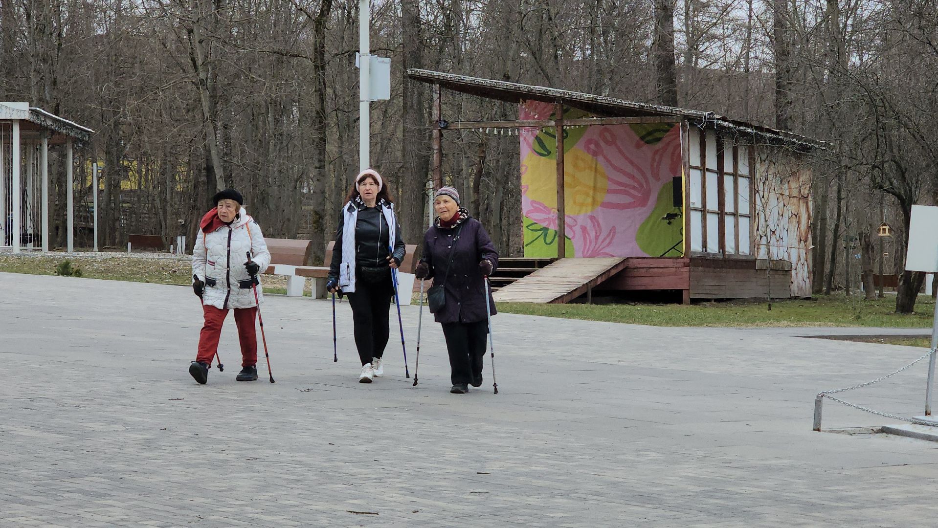 Спорт, Истра, Скандинавская ходьба, Парки,