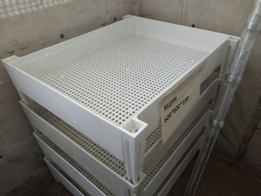 Лосино-Петровский, общество