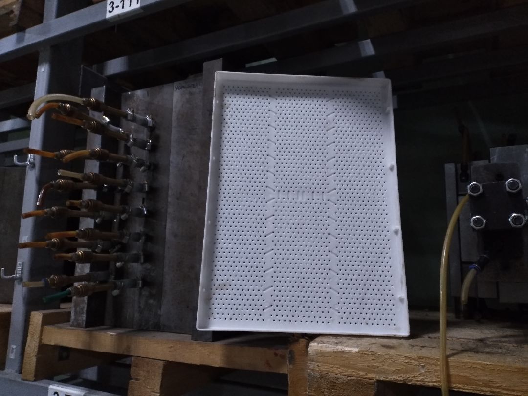 Лосино-Петровский, общество