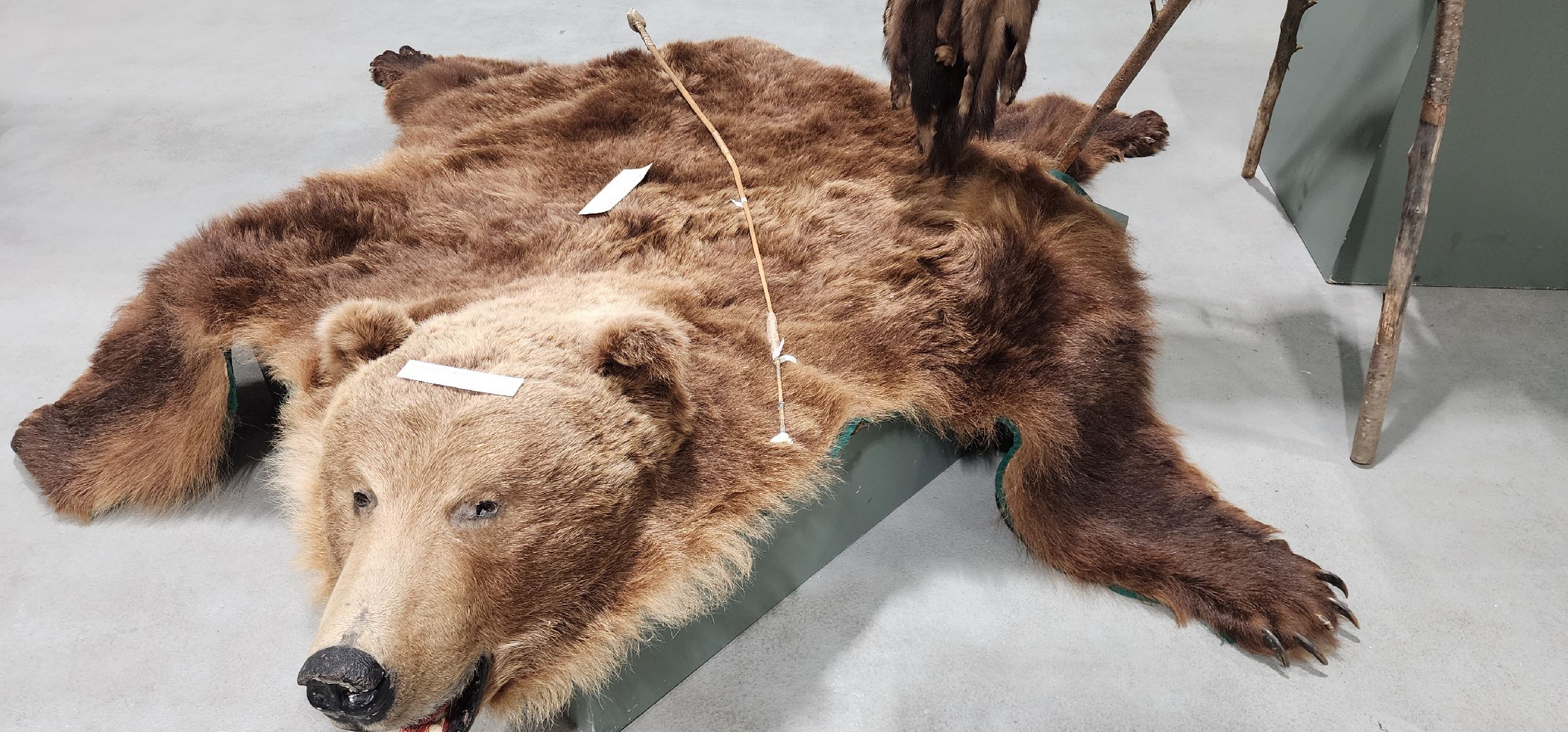 Культура, Художники Звенигорода, Малочисленные народы, Традиции, Общество,