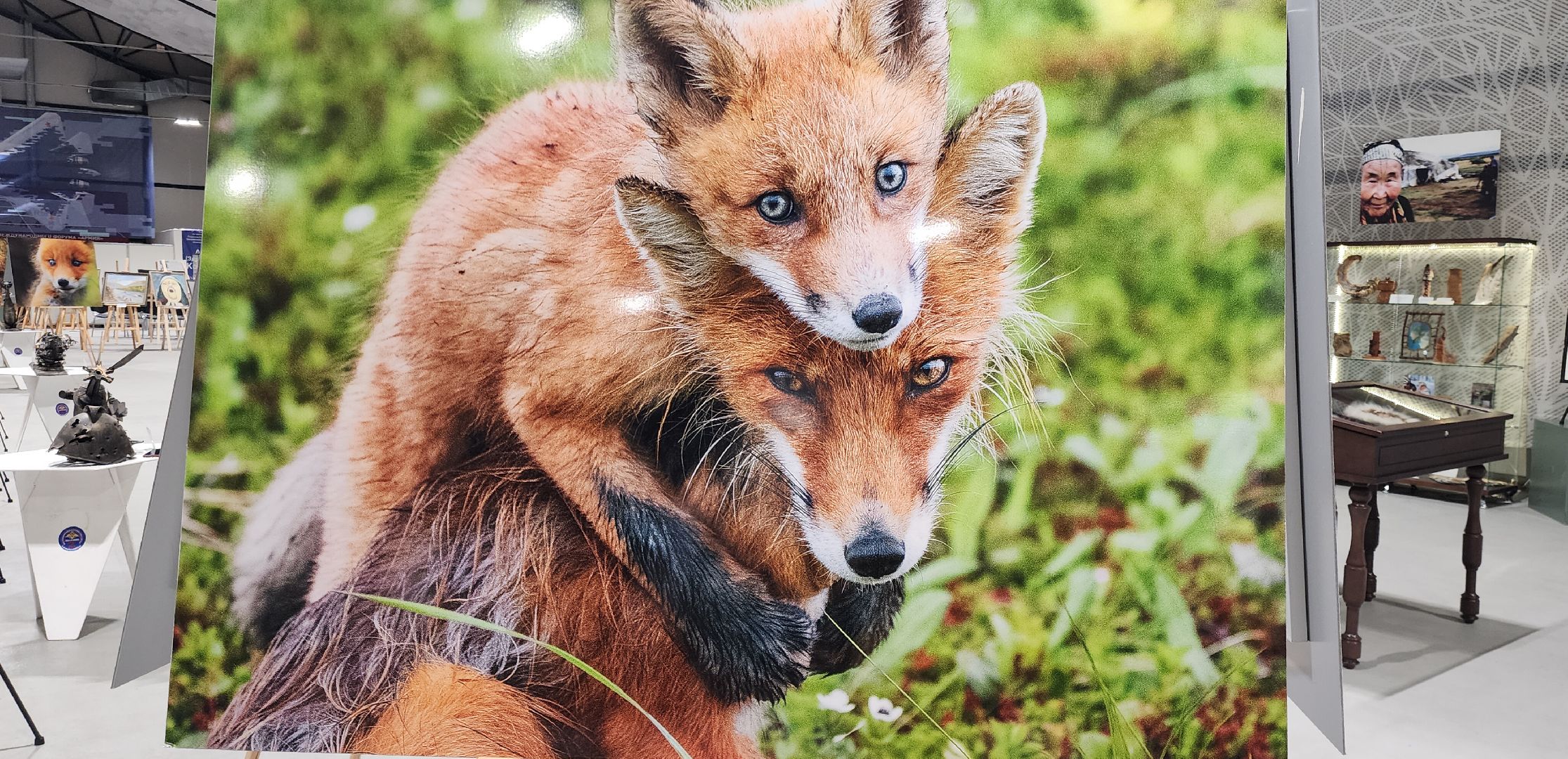 Культура, Художники Звенигорода, Малочисленные народы, Традиции, Общество,