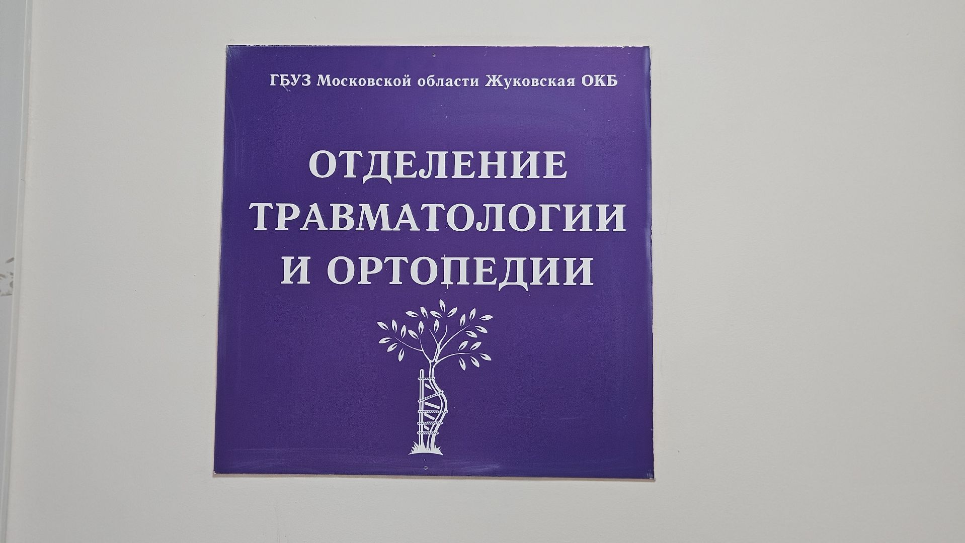 ортопедия, врач, травматолог, реабилитация, жуковский,