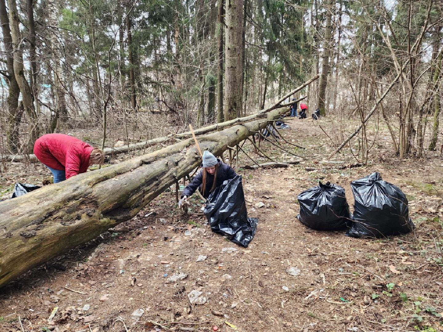 солнечногорск, субботник, уборка, жители, инвентарь,