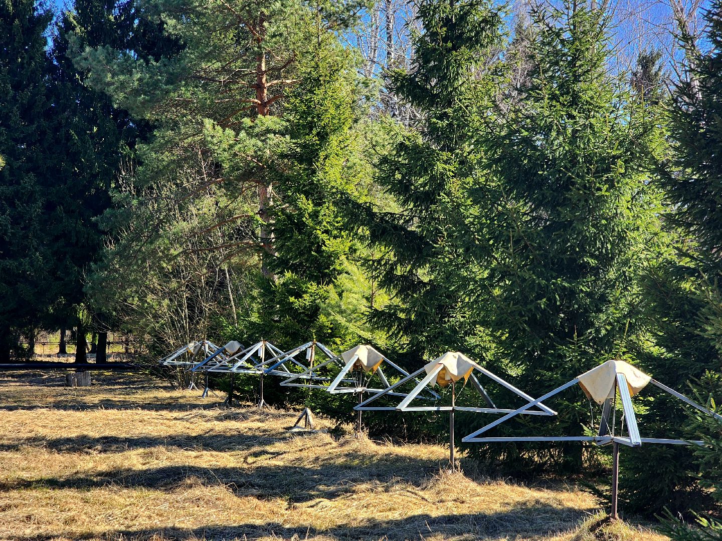 пущино, серпухов, наука, день космонавтики,