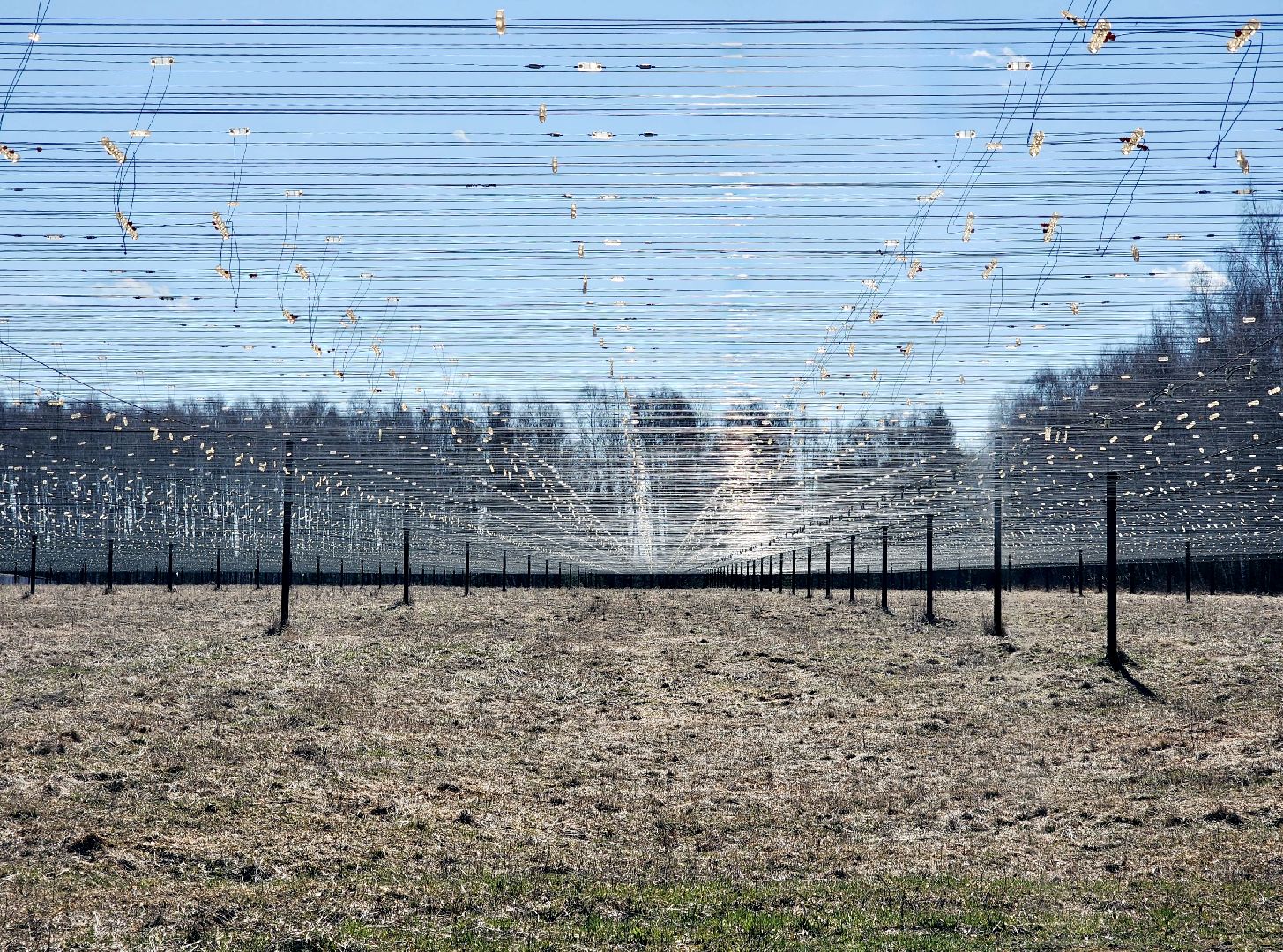 пущино, серпухов, наука, день космонавтики,