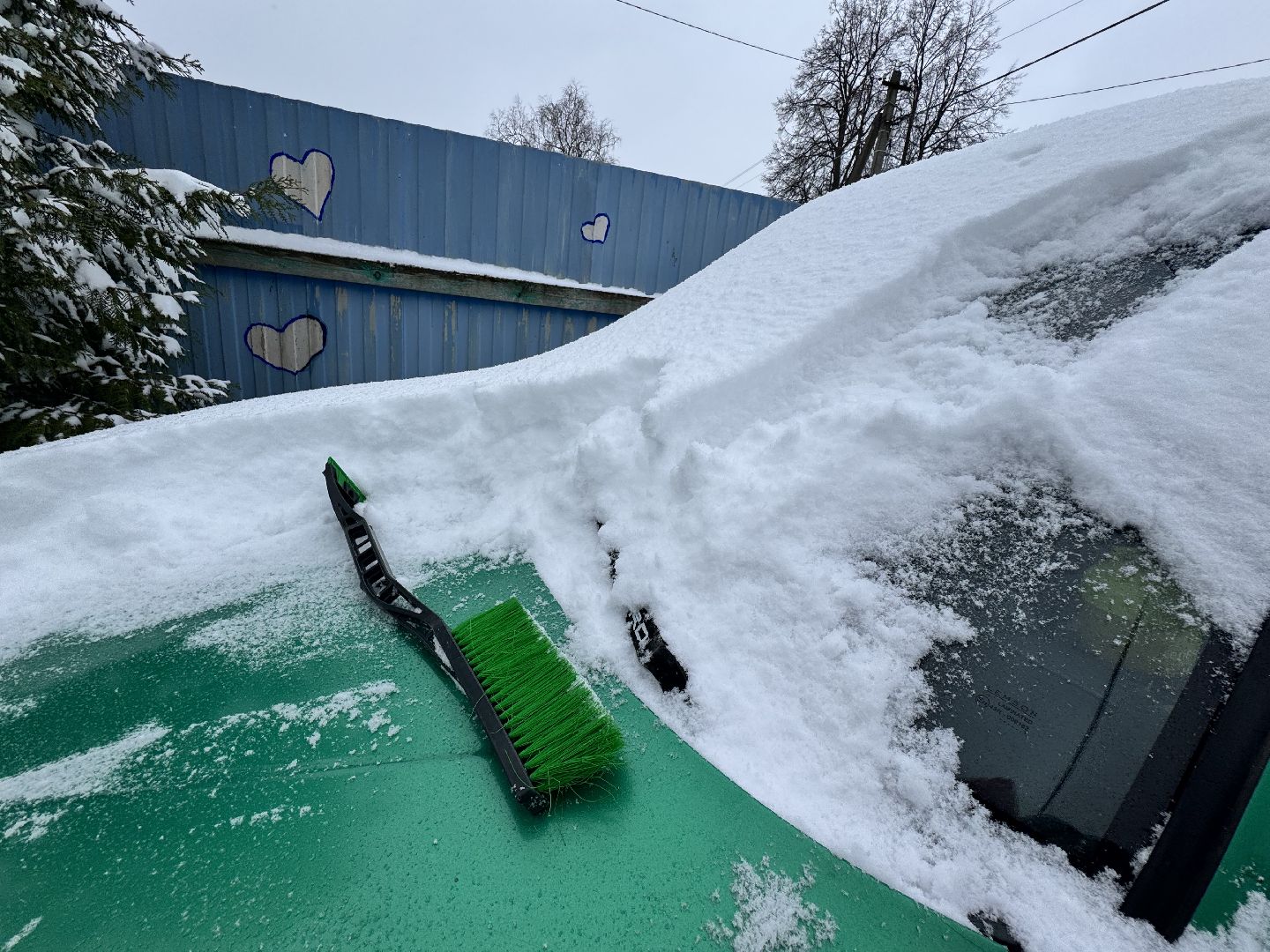 шаховская, снегопад, снег весной,