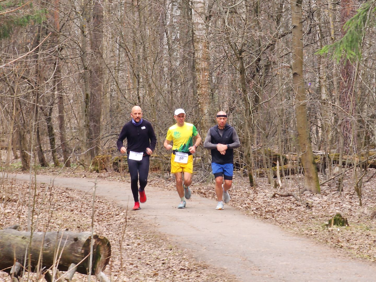 ивантеевка, бег, городской округ пушкинский, спорт,