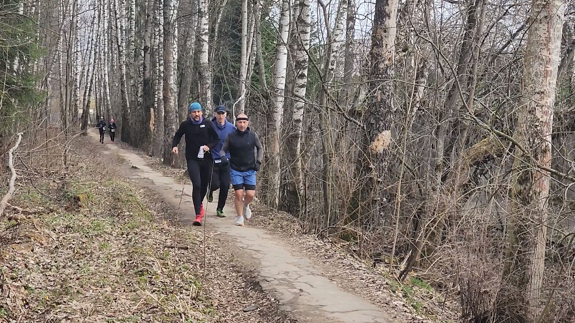 ивантеевка, городской округ пушкинский, бег в подмосковье, спорт,