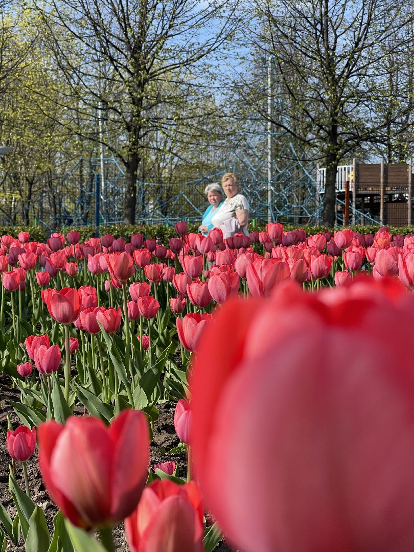 Одинцово, площадь, благоустройство, цветы,