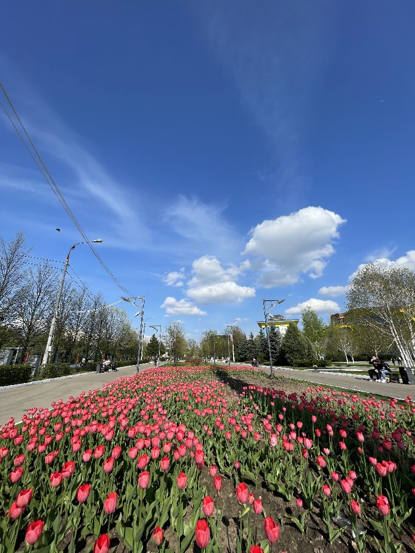 Одинцово, площадь, благоустройство, цветы,