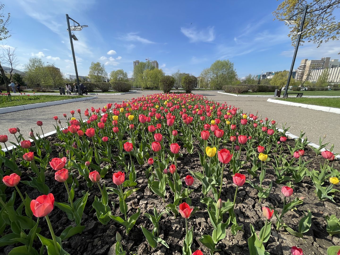 Одинцово, площадь, благоустройство, цветы,