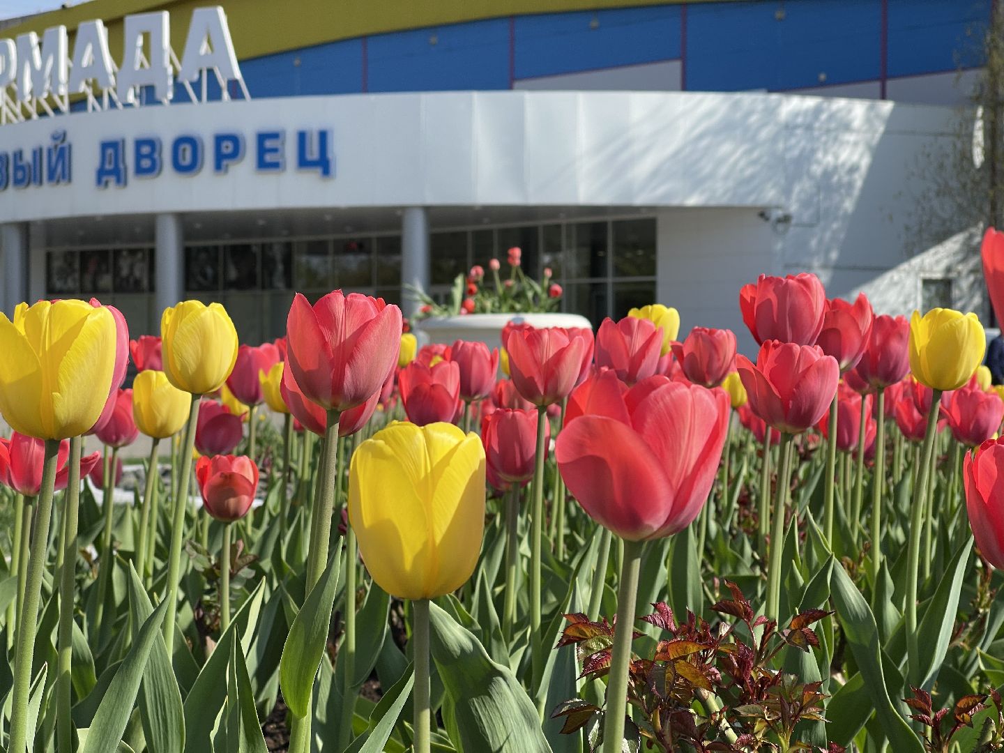 Одинцово, площадь, благоустройство, цветы,